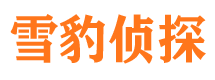 矿区侦探公司